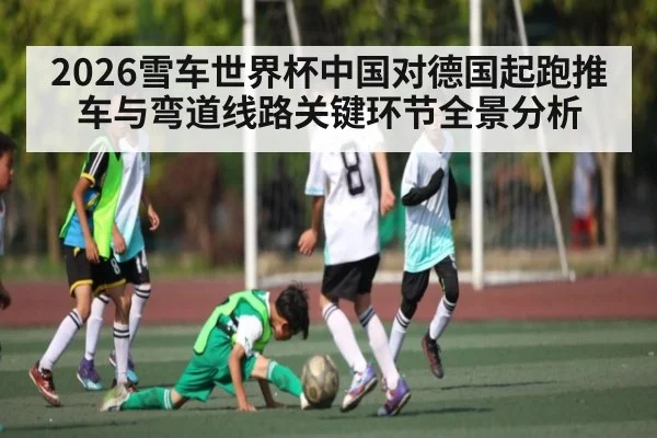 2026雪车世界杯中国对德国起跑推车与弯道线路关键环节全景分析